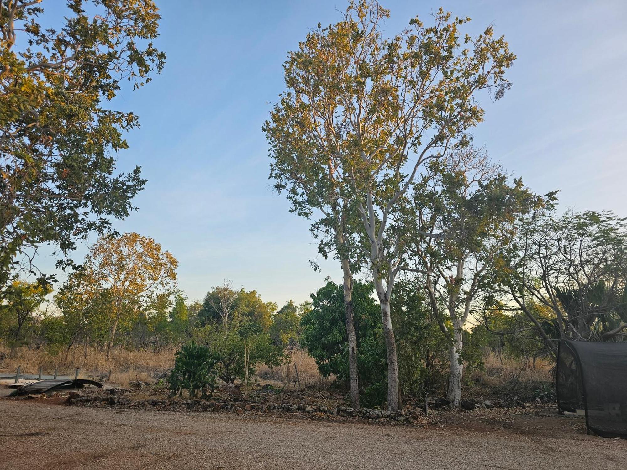 Almost Off Grid Tranquillity Katherine Exterior foto